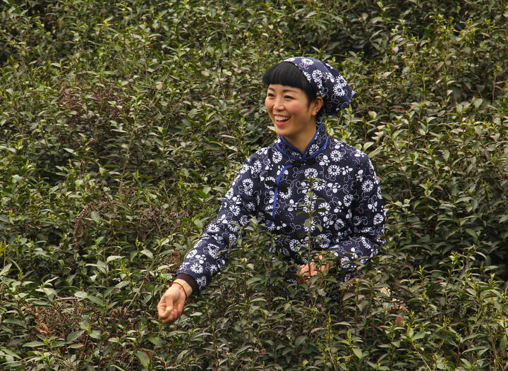 春天直播真人秀app banner
